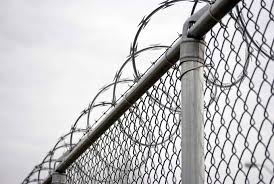 Barbed Wire Noun - Definition, Pictures, Pronunciation And Usage Notes |  Oxford Advanced Learner'S Dictionary At Oxfordlearnersdictionaries.Com