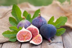 Why Are My Fig Trees Not Bearing Fruit? – Greenuplawn