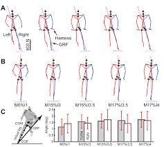 Keeping Direction Unchanged During Rotation - Mechanical Animation  #Mechanics #Animation - Youtube