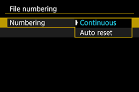 Understanding Ctg Files: A Comprehensive Guide For Canon Camera Users –  Tamaggo